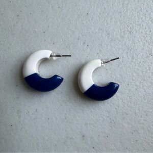 Vintage‎ Blue and White Crescent Earrings